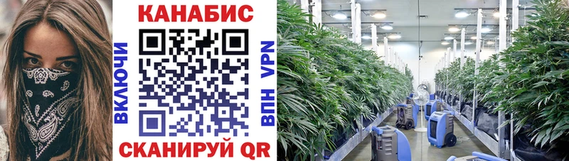 Каннабис THC 21%  где можно купить   Коломна 